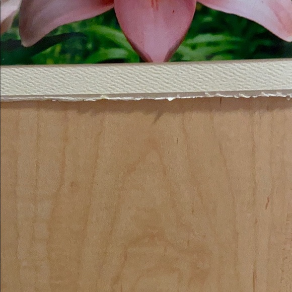 Handmade Flower Blank Cards Rustic Style🦋🌺 - Picture 5 of 7